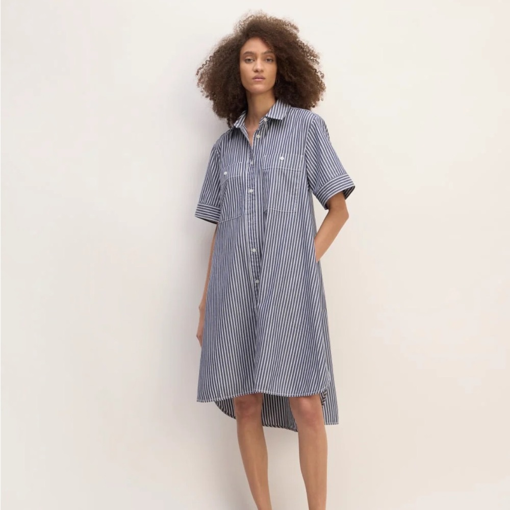 Everlane Navy and White Striped Shirt dress (Day Trip)